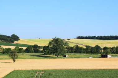 Doğanın güzel manzarası