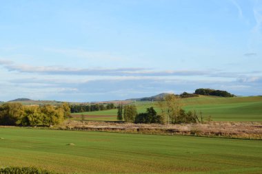 Arkasında ağaçlar ve çimenler olan güzel bir manzara görüntüsü.