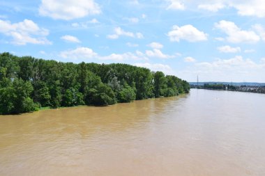 Almanya 'da Ren Nehri seli