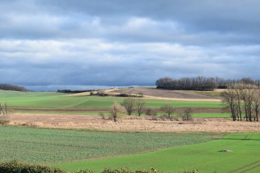 Çimenlerle, ağaçlarla ve bulutlu gökyüzüyle