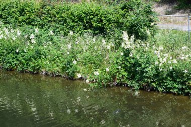 Gündüz vakti doğadaki nehir