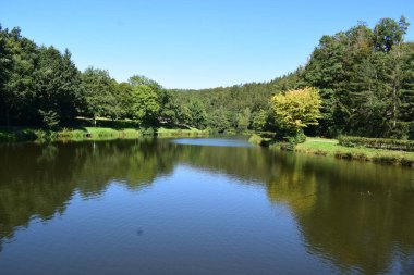 Güzel bir göl manzarası.