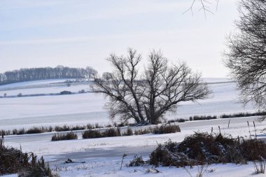 Ağaçlı ve tarlalı kış manzarası