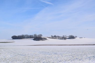 Kar ve ağaçlarla dolu güzel bir kış manzarası. Doğa