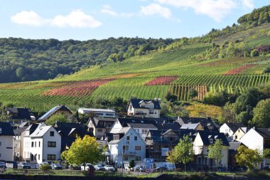 Mosel Vadisi 'nin sonbaharda bağları olan güzel manzarası.
