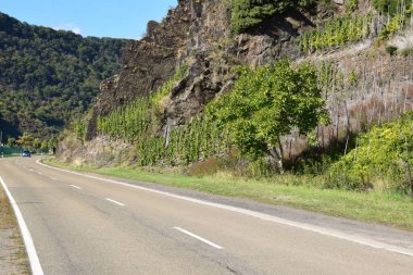 asphalt road at Mosel valley cliffs clipart