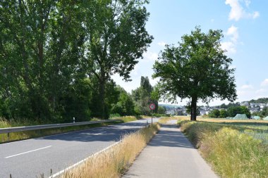 Yazın yeşil bir ormanda yol.
