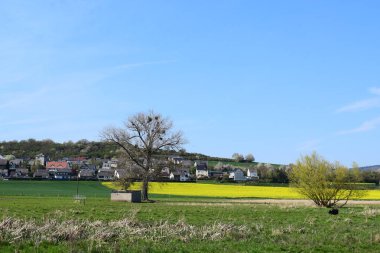 Yeşil ve sarı bahar tarlaları
