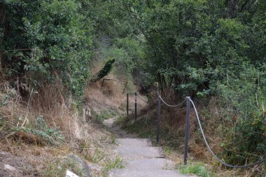 İspanya 'nın kırsal kesiminde yol