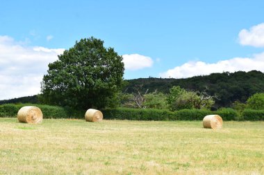 Bir tarlada saman rulosu