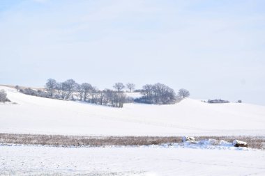 Karla kaplı ağaçlarla kaplı güzel kış manzarası