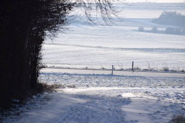 Güzel manzara. doğa arkaplanı