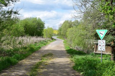 Şehirdeki parkta yol.