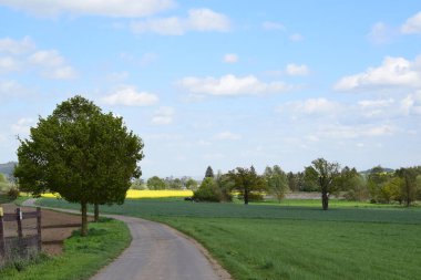 ülkede yol ile yeşil alanlar