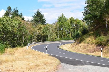 Sonbahar mevsiminde ormanda asfalt yol