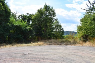 Yazın ormanda park yeri