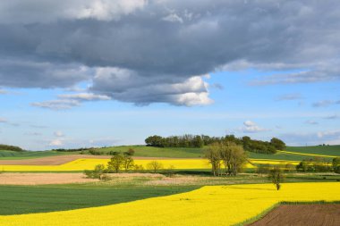 Yeşil tarlası ve mavi gökyüzü olan güzel bir manzara.