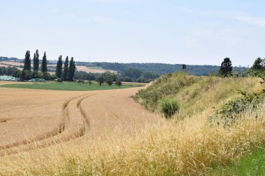 Yaz günü tarlaları ve tepeleri olan manzara