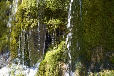 Dağ nehrinde şelale