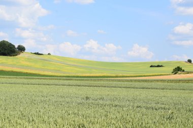Mavi gökyüzü ve bulutlu bir arazi. Yaz manzarası.