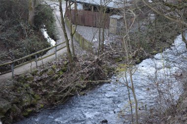 Ormanın içinden akan bir nehir