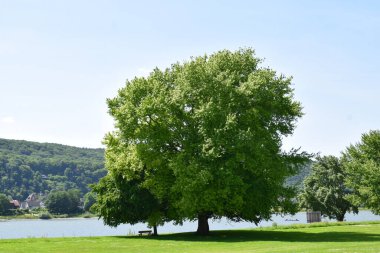 Doğanın güzel manzarası