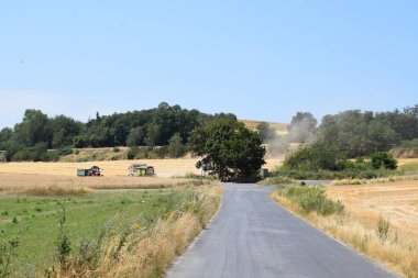 Kırsal kesimde kırsal yol