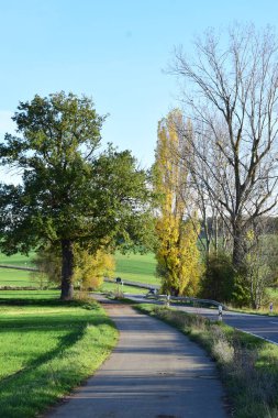 Bir ağaç ve bir yol ile sonbahar manzarası