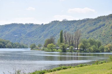 Bir adası olan Mosel 'in güzel manzarası