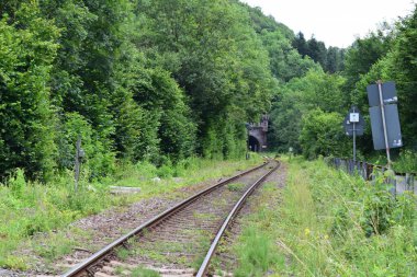 Ormanda demiryolu rayları ve raylar