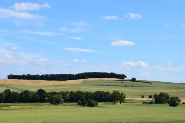 Buğday tarlası ve mavi gökyüzü olan güzel bir manzara.