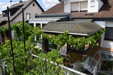 Köyde bir ev manzarası