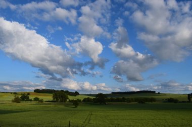 Bavyera 'da yaz manzarası