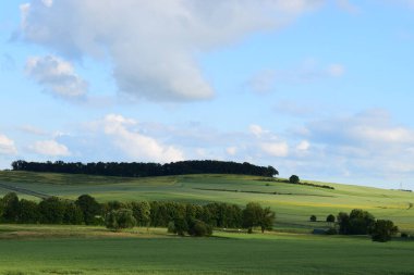 Buğday tarlası ve mavi gökyüzü olan güzel bir manzara.