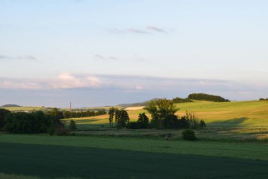 Ağaçlarla dolu bir tarlası ve bulutlu bir gökyüzü olan güzel bir manzara.