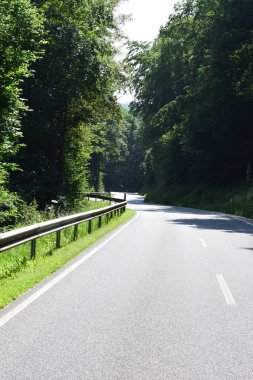Ormanın ortasında yeşil ağaçlı asfalt yol.