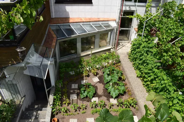 Şehirdeki evin bahçesinin manzarası