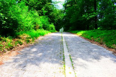 Eski yol, yeşil cehennemin eski parçası.