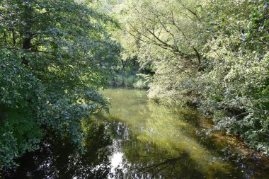 Parkın güzel manzarası