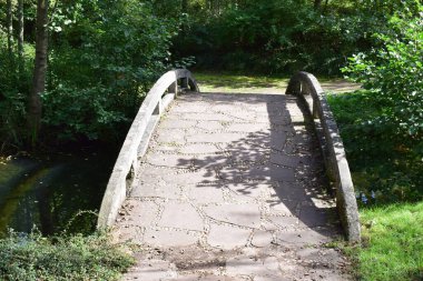 Parkta tahta bir köprü.