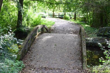 a small bridge in the forest clipart