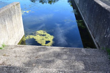 Parktaki küçük nehir.