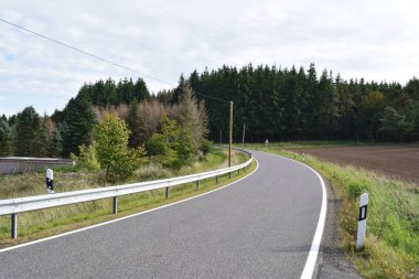 Orman boş ülkede yol