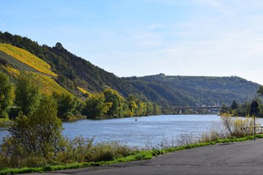 Sonbaharda Mosel nehri.