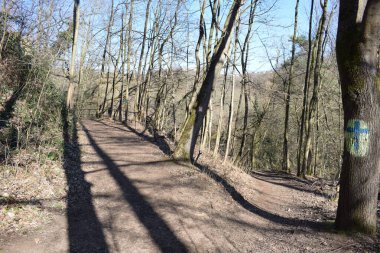 Doğanın güzel manzarası