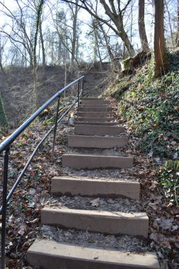 stairs in an old park clipart