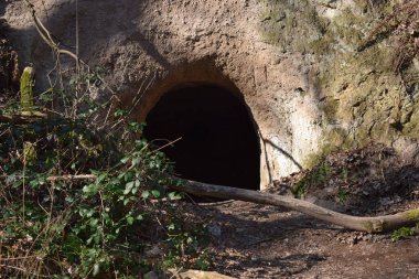Ağaçlar, bitkiler ve taşlarla terk edilmiş yeraltı tüneli.