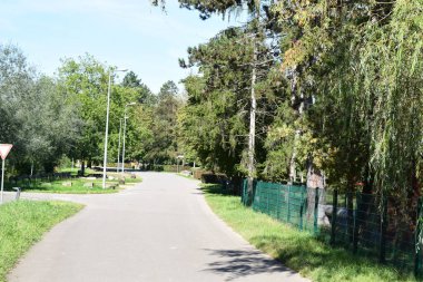 road along the Sr river clipart