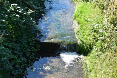 Şehir parkındaki nehir.
