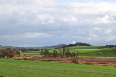 İlkbaharda Almanya 'nın tarlalarının manzarası